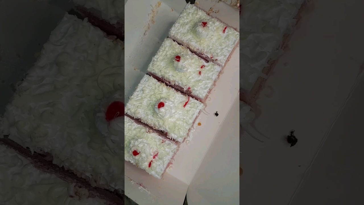 Pastry Lovers🍰😋 
