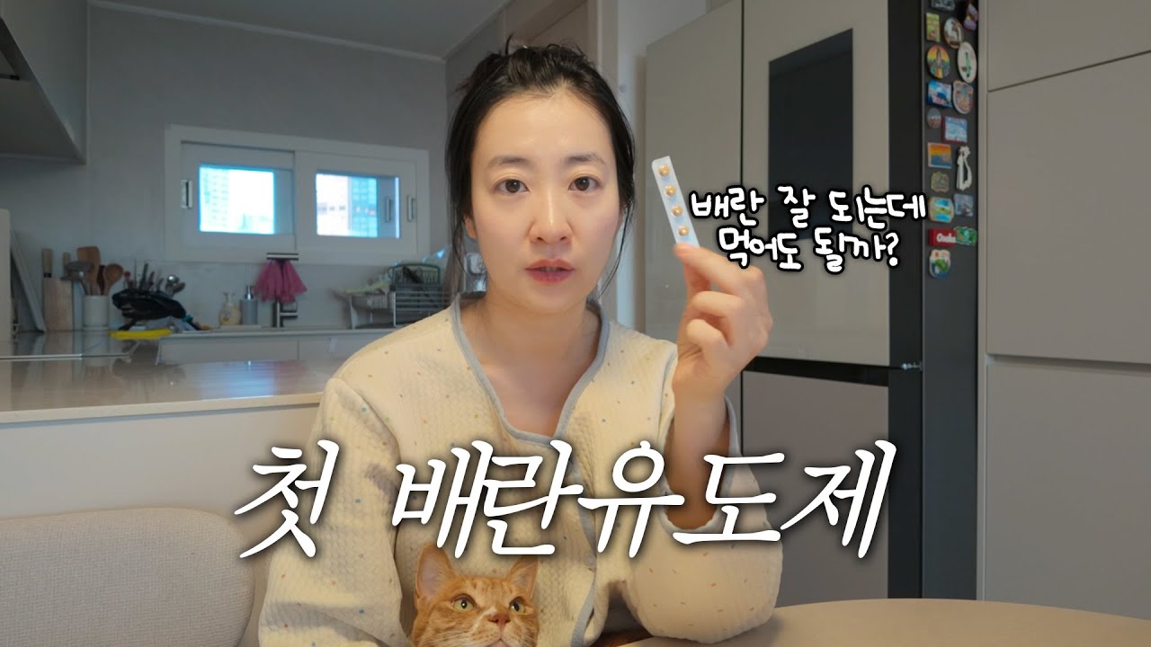🤰🏻임신준비 브이로그 I 겨울에 배란일 확인이 더 어렵다, 배란유도제 복용시작