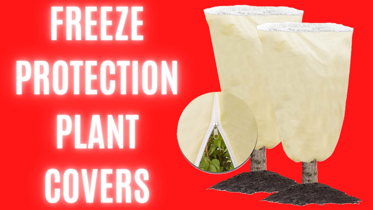 Freeze Protection Plant Covers | The Ultimate Plant Protection For Freeze