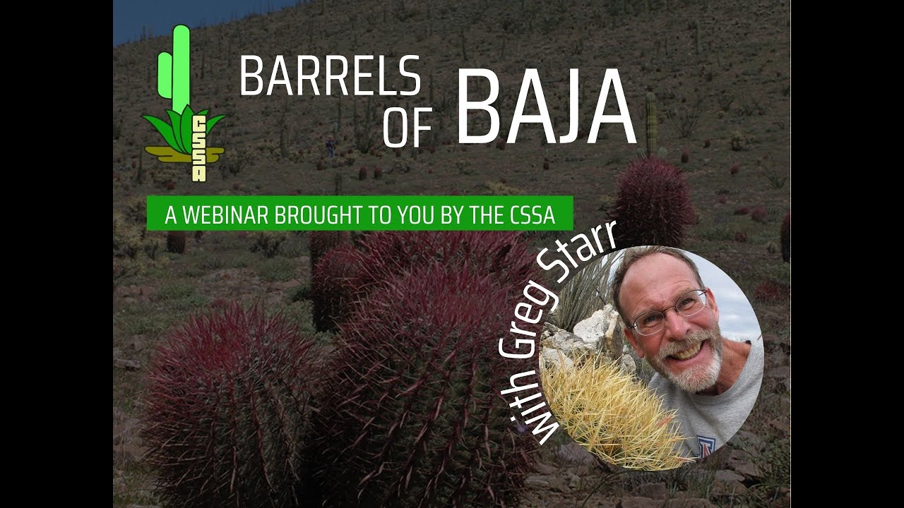 Barrels of Baja with Greg Starr