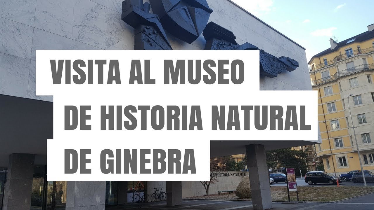 Visita al Museo de Historia Natural de Ginebra, Suiza