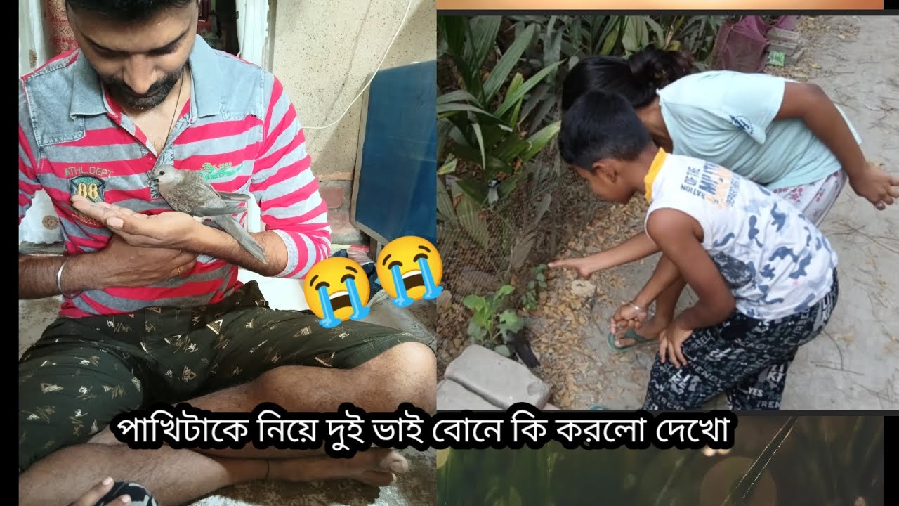 মা হারা পাখি 😭😭#সুন্দরবনের বৌমা#vlog#vlogger #vlogvideo #vloggerlife 