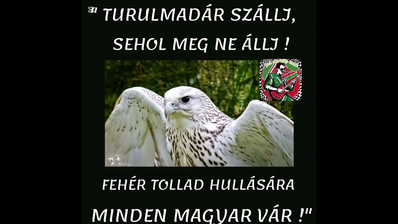 Turulmadár szállj! 