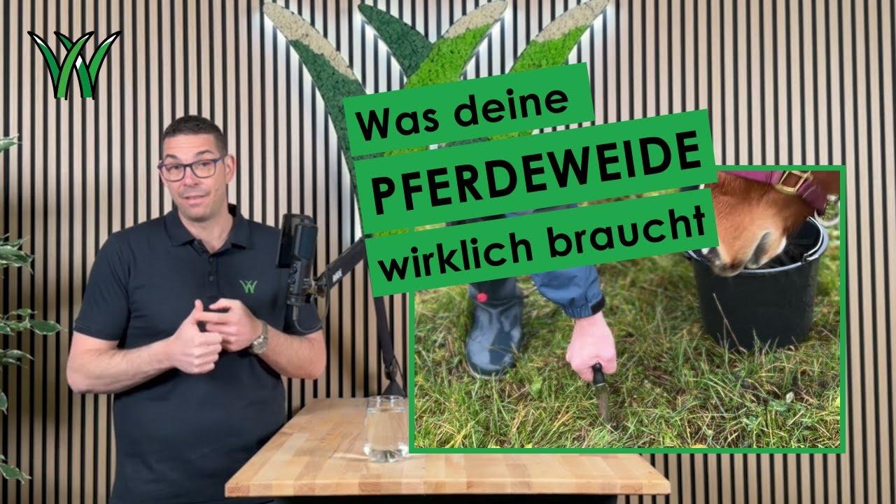 Pferdeweide verstehen: Warum Bodenanalyse wichtiger ist als Bauchgefühl