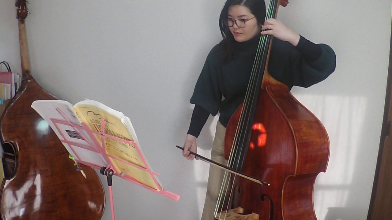 『弦バス』トイズ・パレード弾いてみた『String bass』