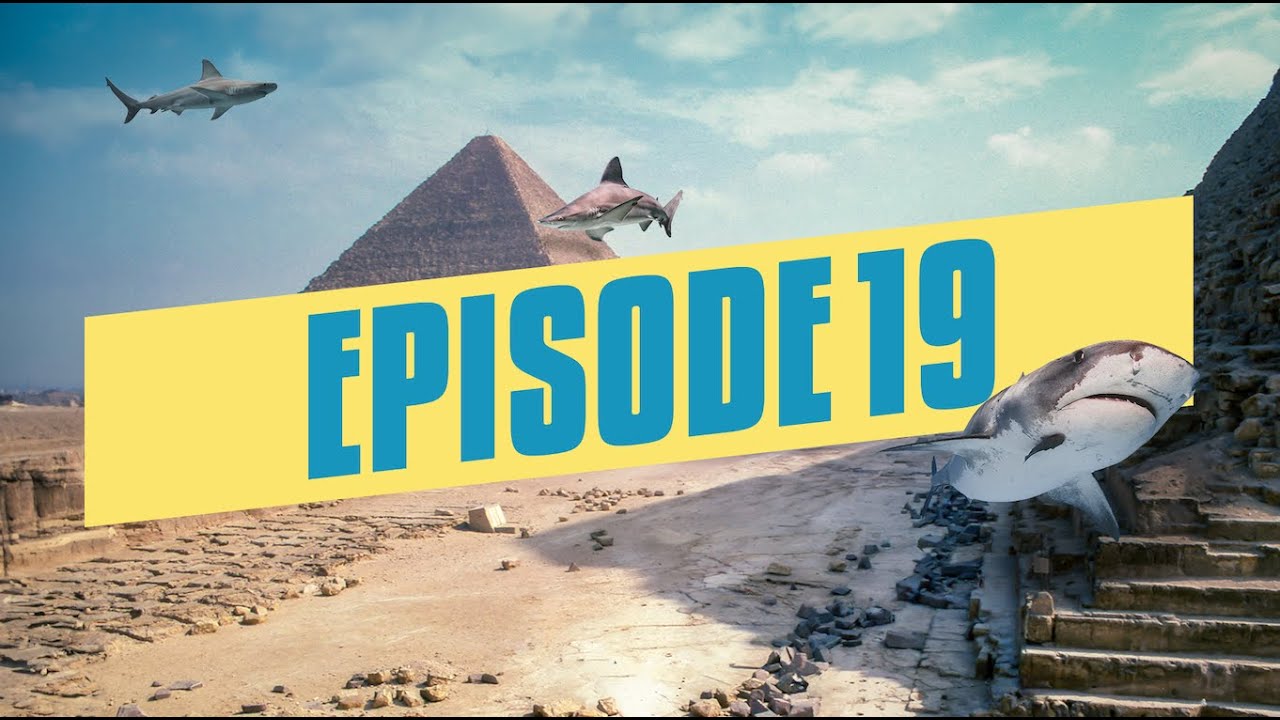 حفيد ماردينى في التانك! [شارك تانك مصر]