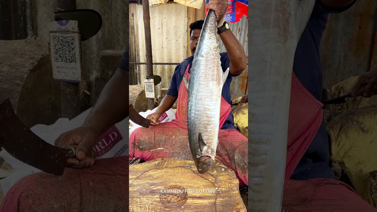 KASIMEDU SPEED SELVAM FISH CUTTING VIDEO 