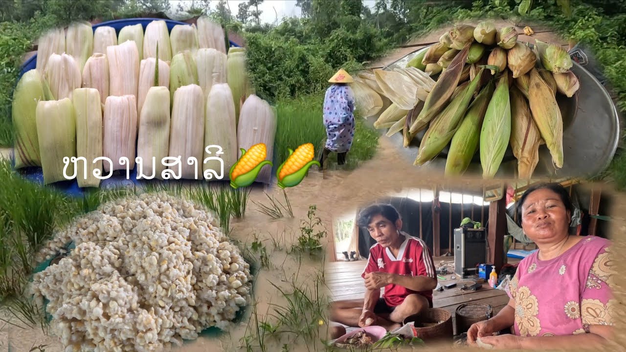 ຂາກັບແຄ່ງຝົນເມືອກັບແມ່ນ້ຳຫລາຍ//ขากลับแข้งฝุ่นเมื่อกับแม่น้ำหลาย 30 สิงหาคม ค.ศ. 2025