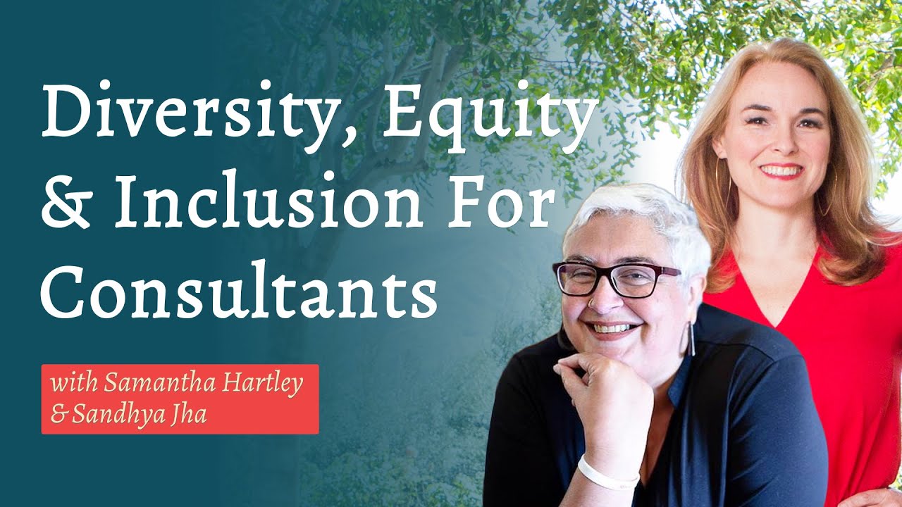 Diversity, Equity & Inclusion For Consultants &zwnj;