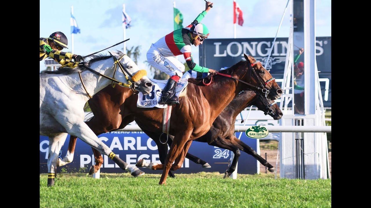 GRAN PREMIO CARLOS PELLEGRINI (Gr.1) 2024