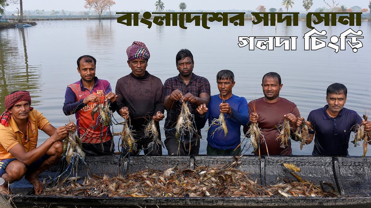 বাংলাদেশের সাদা সোনা 