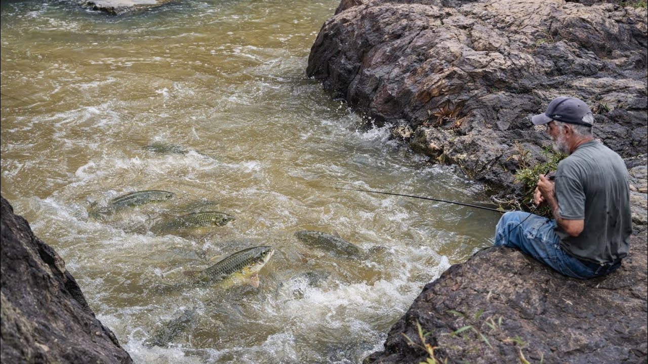 Pescaria no Rio Pardo: poço raso cheio de peixe !