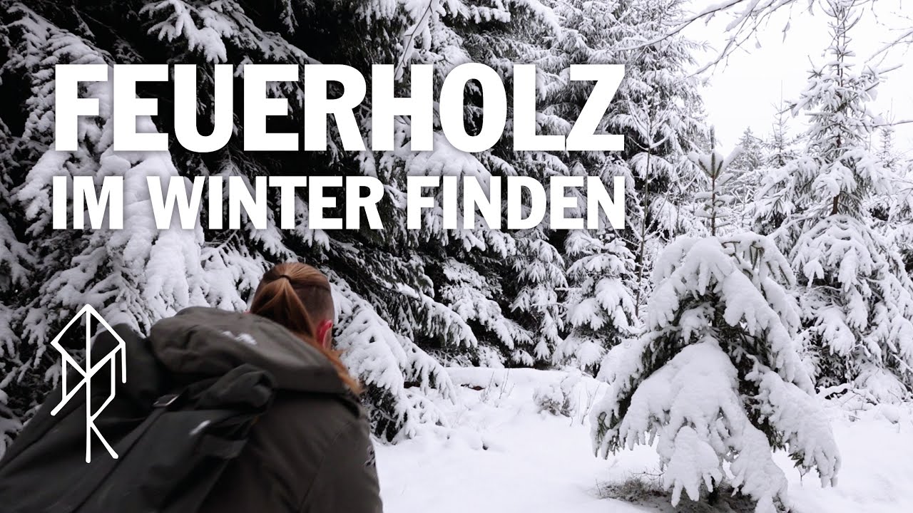 Trockenes Holz im Winter | Zunder, Anmachholz und Brennholz zuverlässig finden | Urviech | Bushcraft