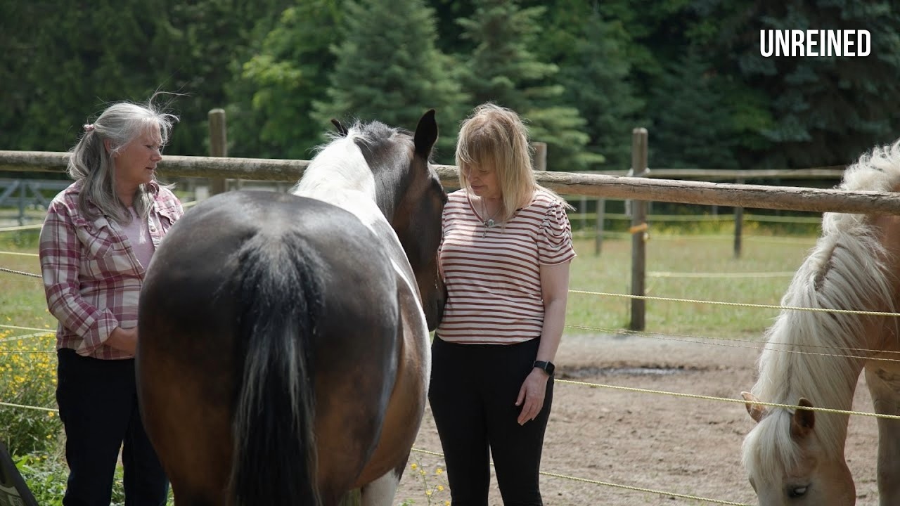 WISDOM | Horses Healing Human Hearts #unreined #horses #horsesheal