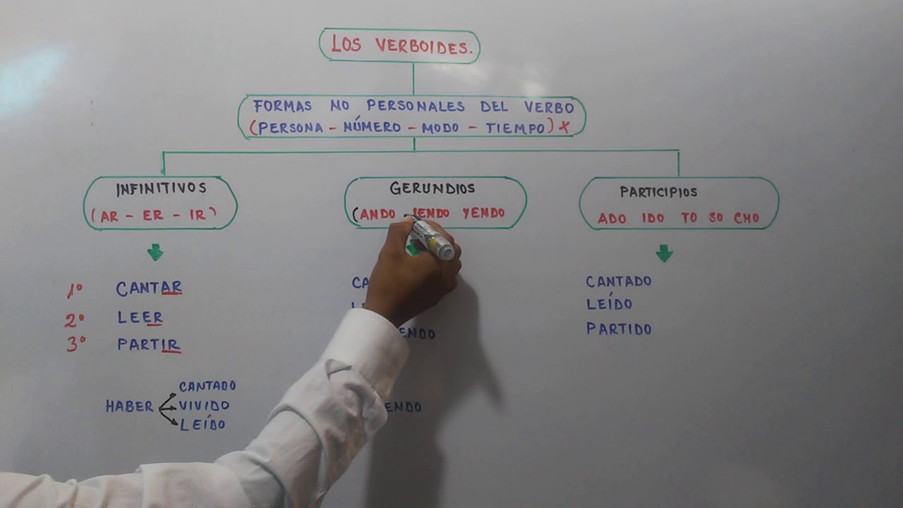 Los verboides