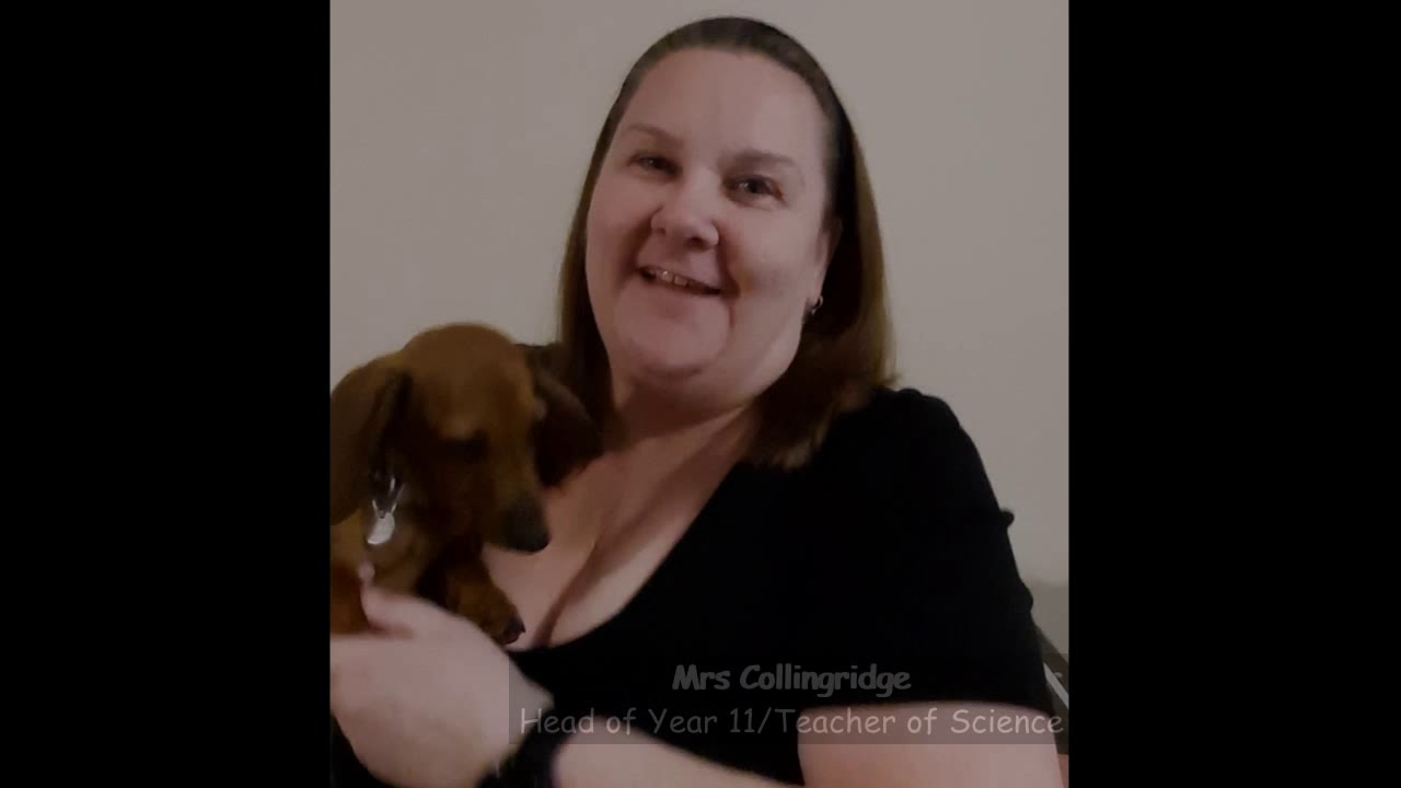 Staff video