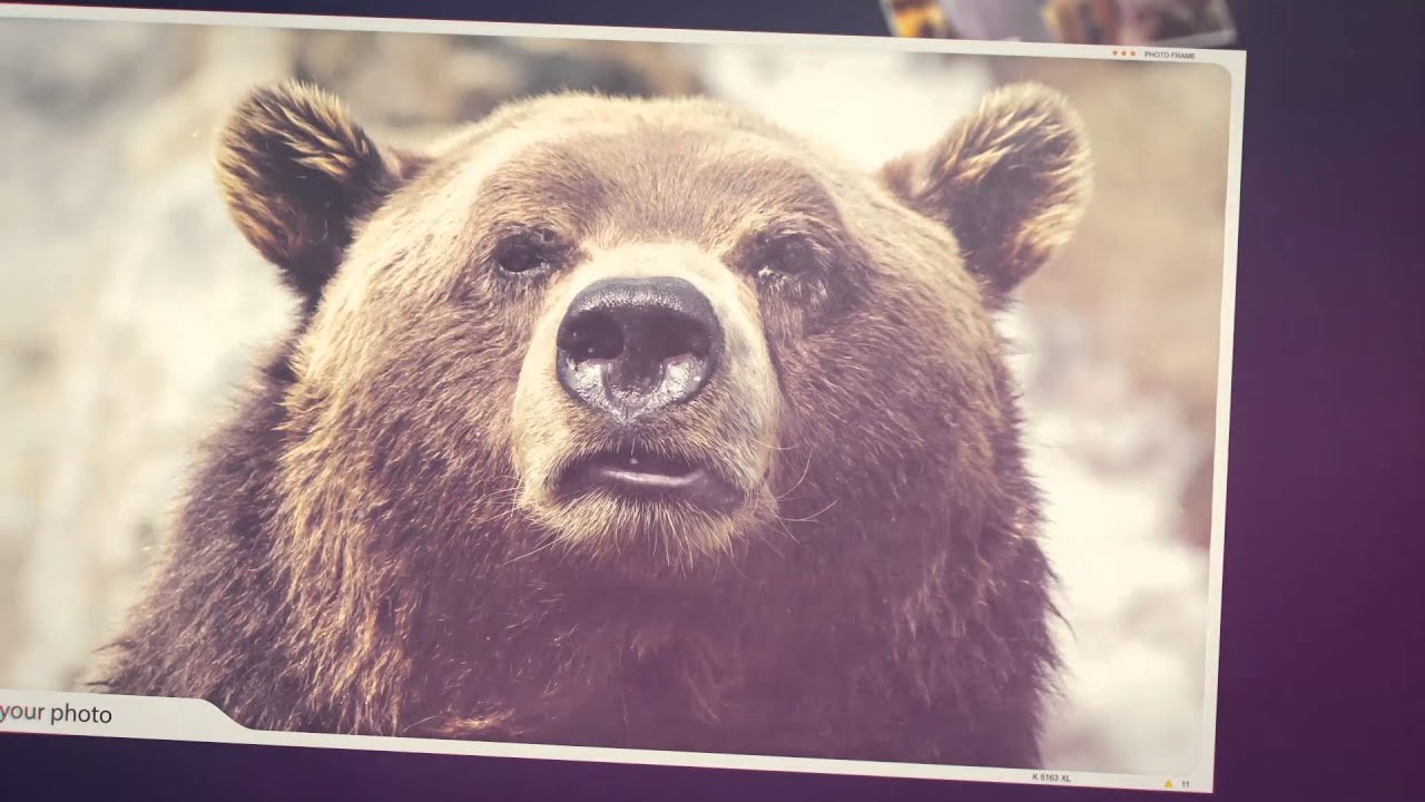 Elegant Slides After Effects Template