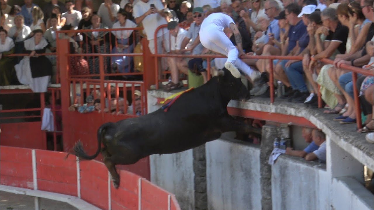 LES PALUDS DE NOVES COURSE AVENIR FINALE ST ROCH 7.09.2025