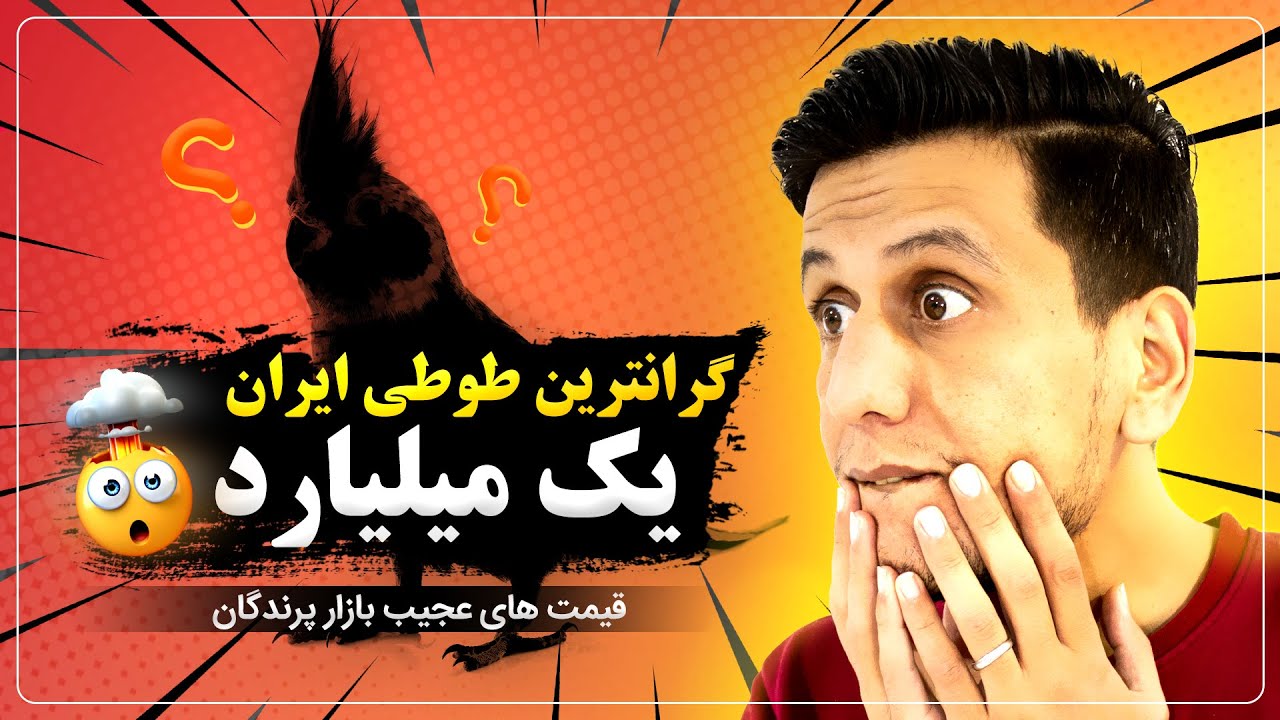 قیمت انواع طوطی و پرنده  در بازار پرندگان | قیمت های باورنکردنی بازار مرزی ارومیه 2024