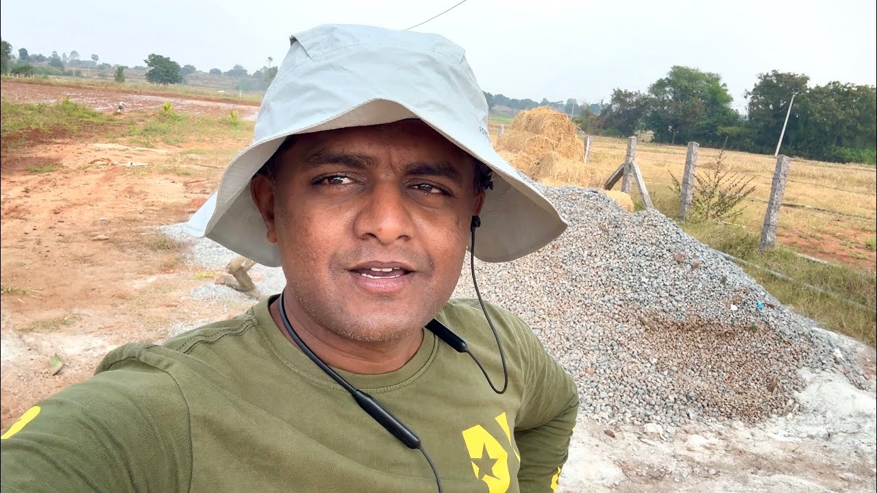 EP114 | Harvesting Lemon & Removing weed From paddy & Moringa Fields | Naiwik Farms