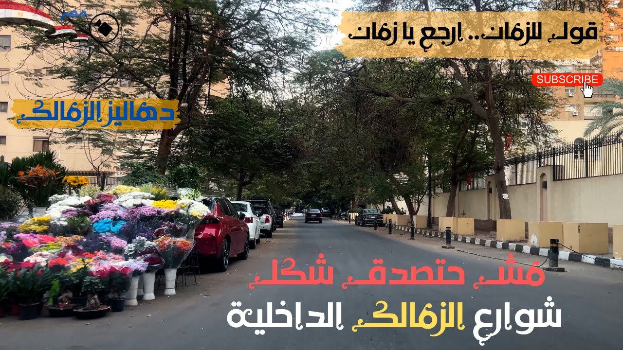 الزمالك|مش حتصدق شكل شوارع الزمالك الداخلية|حي عريق فى القاهرة|رحلة رومانسية فى شوارع اخر روقان
