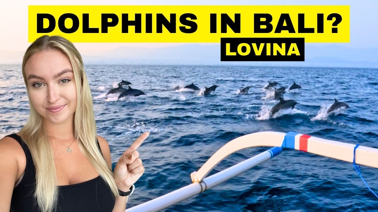 ПЛАВАНИЕ С ДИКИМИ ДЕЛЬФИНАМИ НА БАЛИ - ПУТЕВОДИТЕЛЬ LOVINA