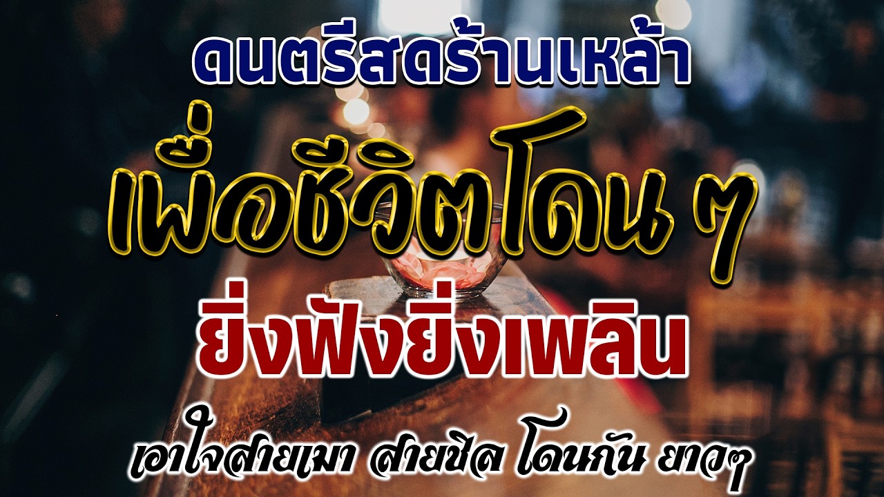 ไม่ดูพลาด 🔥 โฟล์คซอง ดนตรีสด เพลงร้านเหล้า เพื่อชีวิตโจ๊ะๆ เหมือนฟังที่ร้าน เพลงฮิต เอาใจคน
