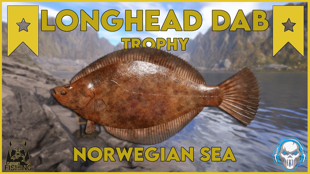 LONGHEAD DAB TROPHY! NORWEGIAN SEA - Russian Fishing 4 #rf4