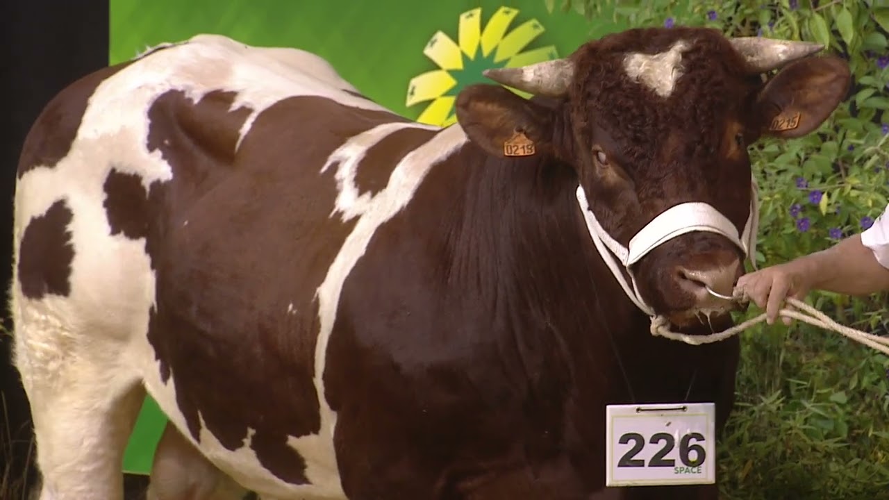 Concours Interrégional Rouge des Prés