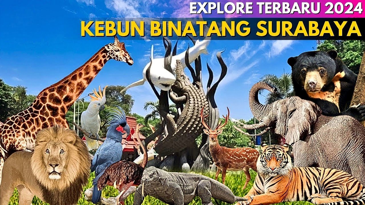 Terlengkap Di Asia Tenggara_Review Kebun Binatang Surabaya (KBS ZOO) TERBARU 2024_Kondisi Dan Tiket