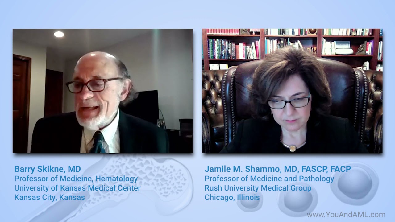 What are the phases of AML treatment?