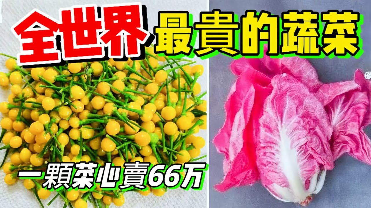 全世界最貴的十種蔬菜，一顆菜心賣出66萬元天價，全球最貴土豆7700元每公斤，一勺豌豆能讓普通人一個月白乾。驚人的天價蔬菜隱藏著怎樣的秘密。#奇趣最TOP#奇趣 #世界之最 #植物 #蔬菜