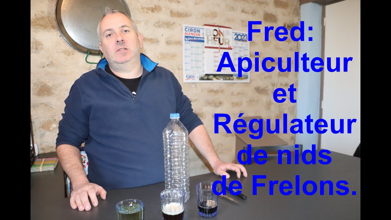 Piégeage de frelons. Avec une bouteille de 1,5L.