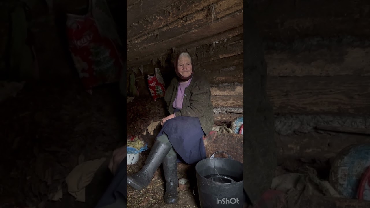 LELEA CIS AGASIA .86 ani din Viseul de sus.Maramures  .Traieste singură și ține 3 vaci .