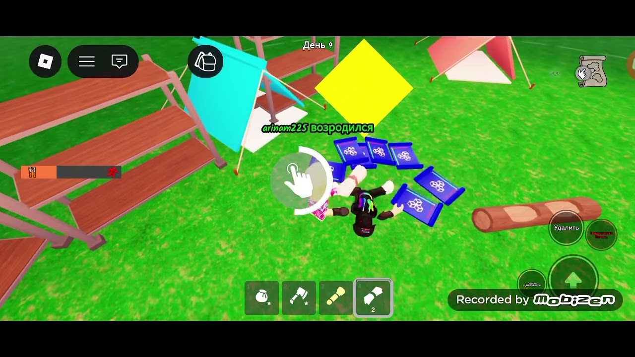 Մենք խաղում ենք Ռոբլոքս