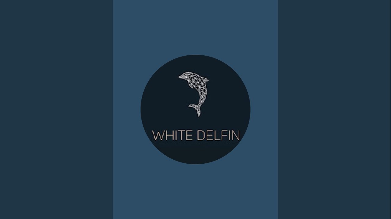 WHITE & DELFIN в прямом эфире!