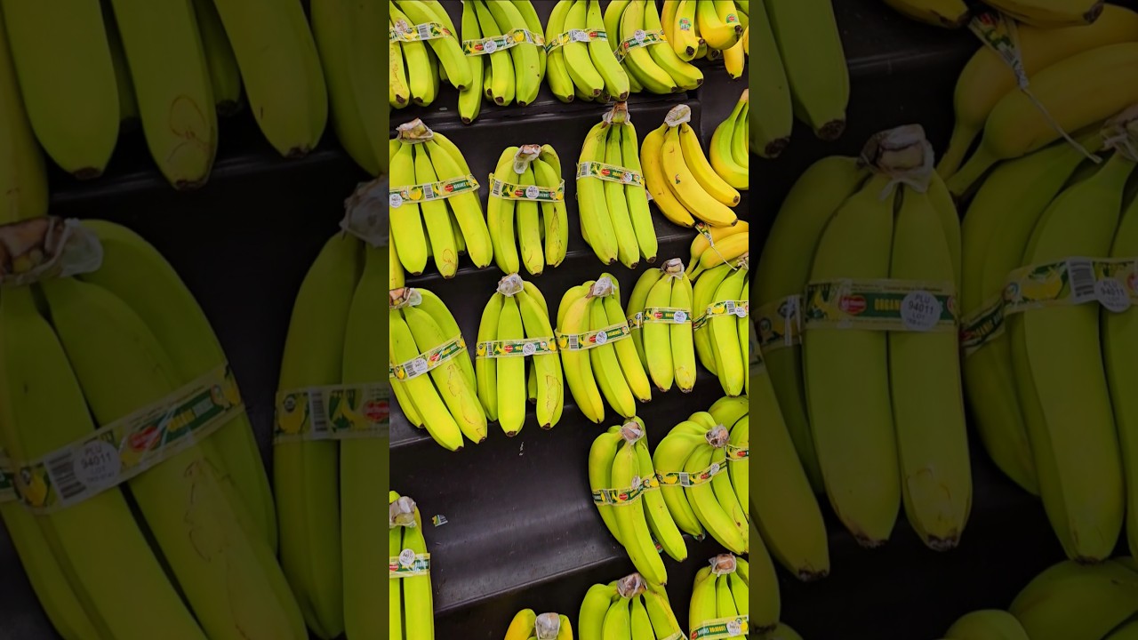 My Must Buy at every shopping 