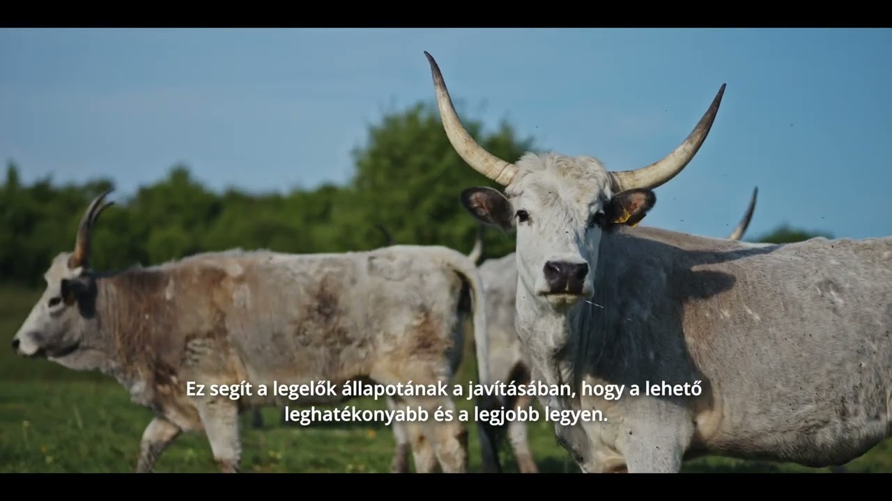 Grazing4AgroEcology