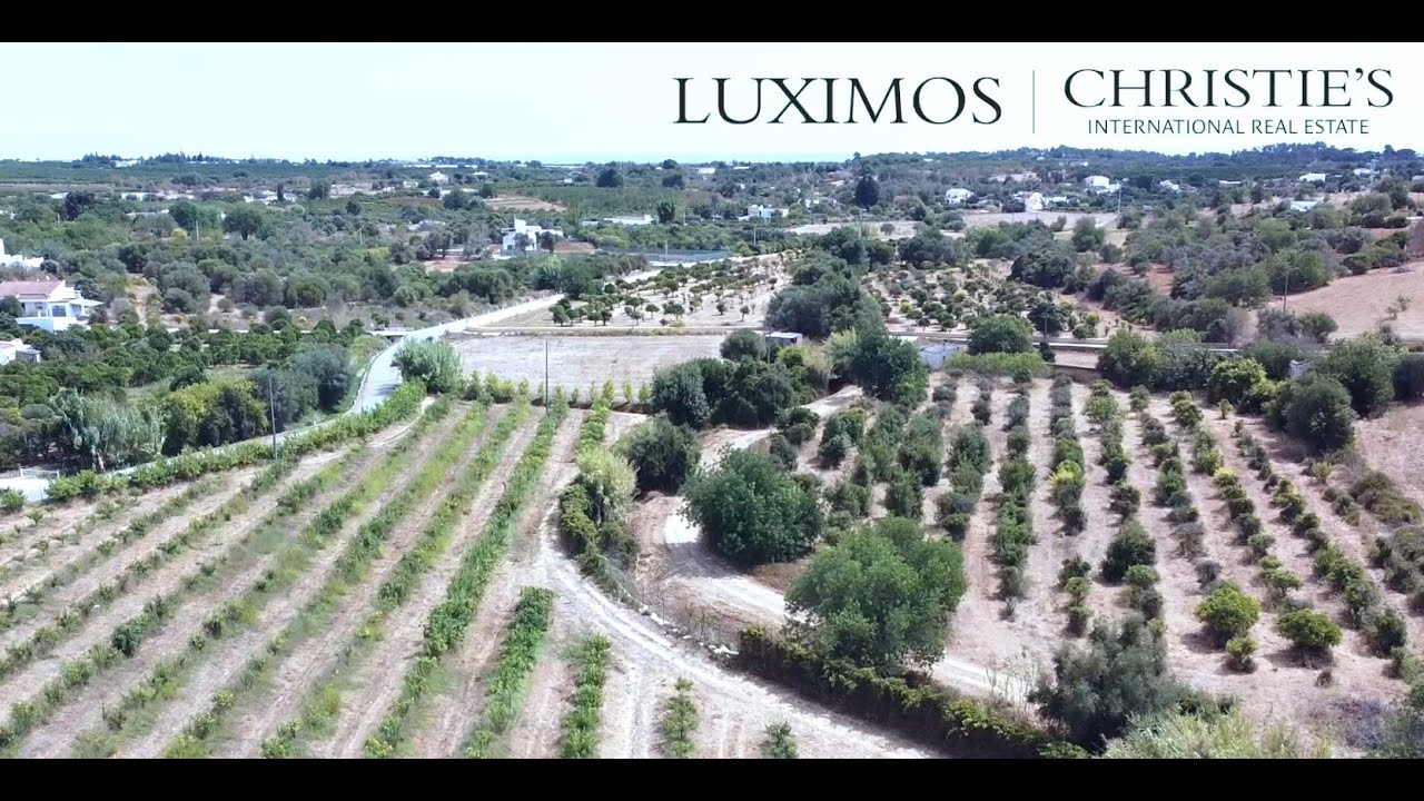 Farm with orchard and ruin, Luz de Tavira, Algarve