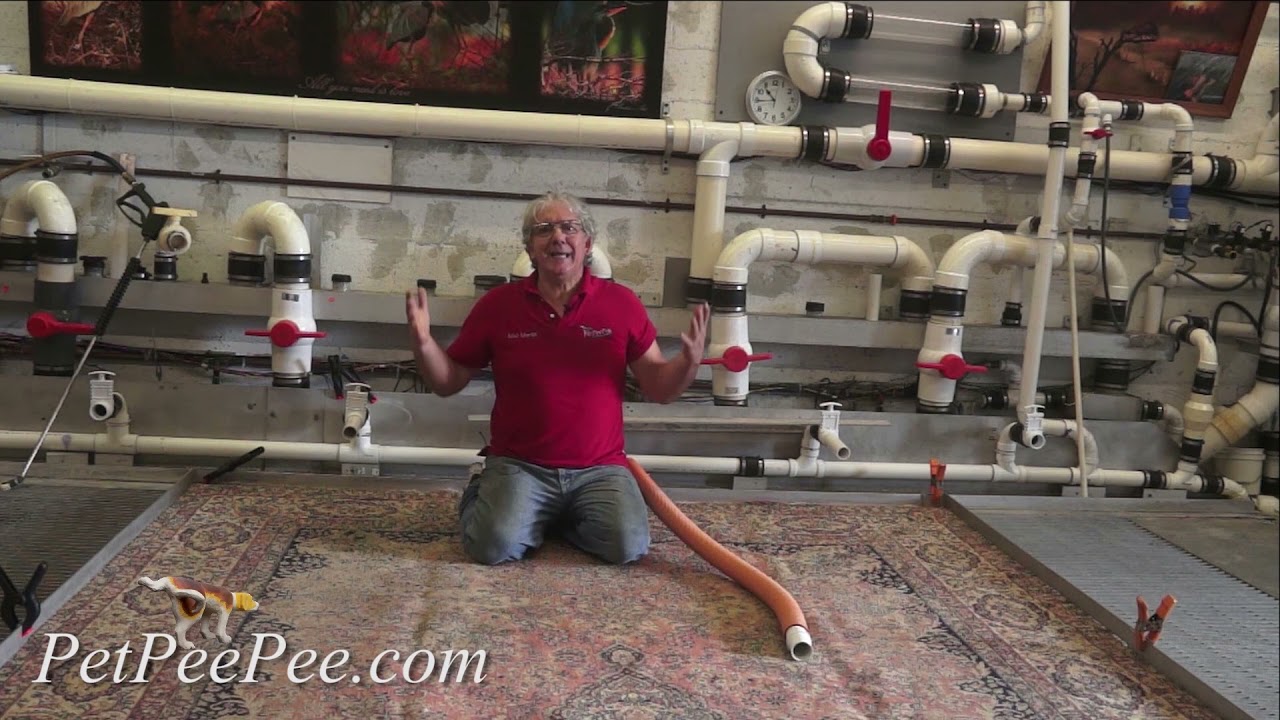 The United Kingdom Oriental rug cleaning service By PetPeePee Company
