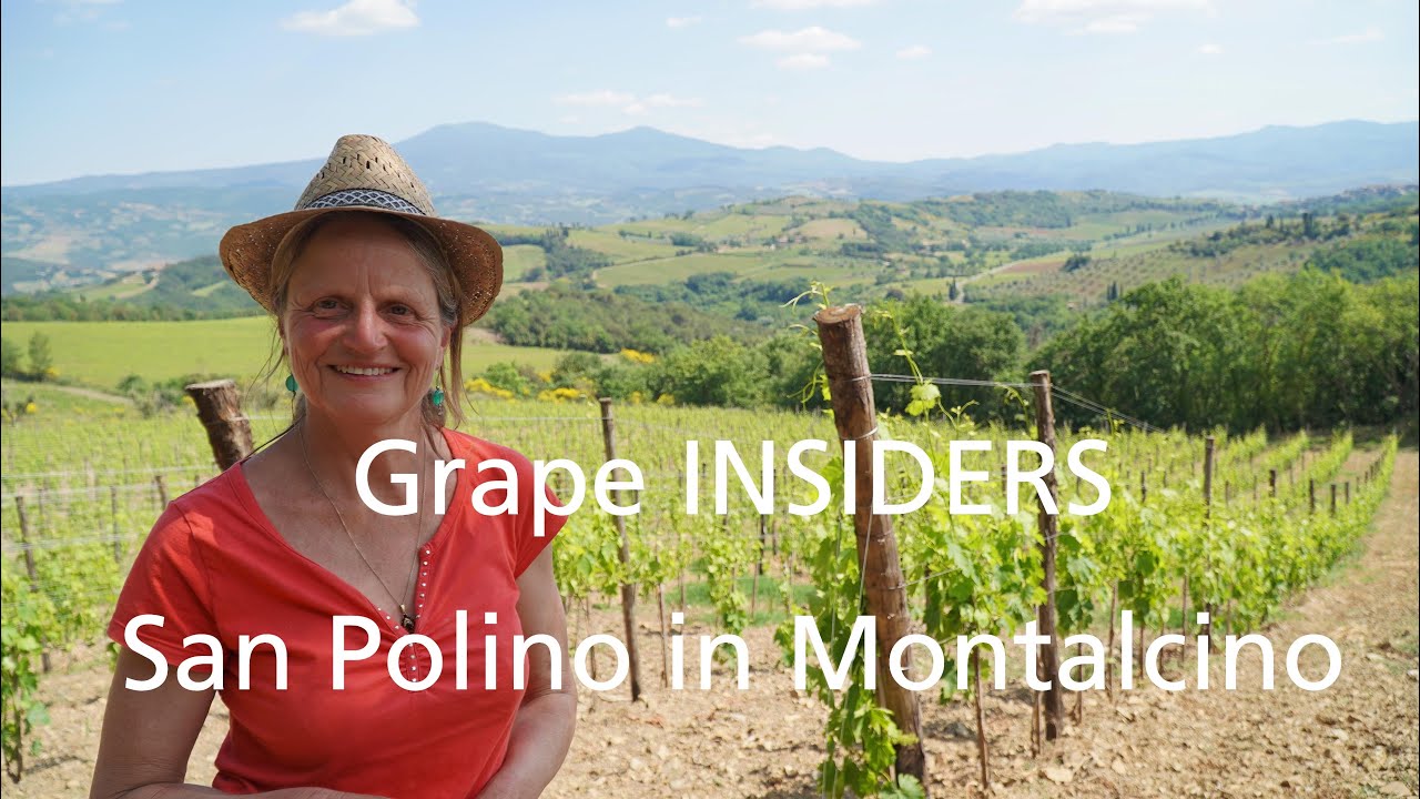 Grape INSIDERS: San Polino in Montalcino