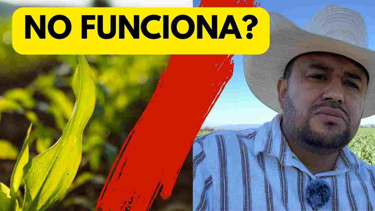 ¿La labranza cero es puro cuento? Te mostramos la verdad! @marco.yume @yumeagro.holdings