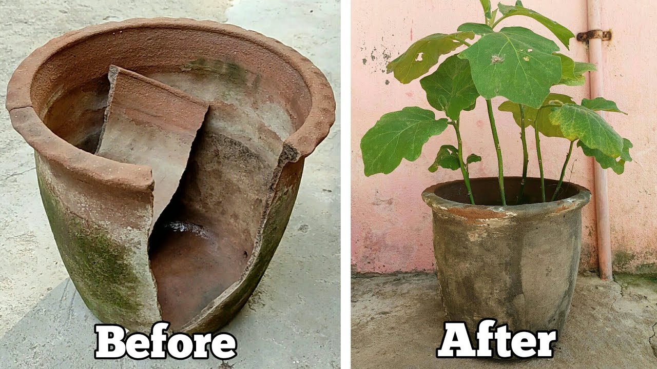 How To Repair A Broken Terracotta Pot / How To Repair A Broken Pot Easily | My 100th Video |