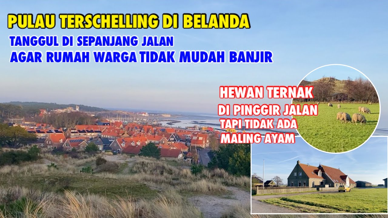 KEHIDUPAN DI PULAU TERSCHELLING DI BELANDA | MELIHAT TANGGUL LAUT DI BELANDA