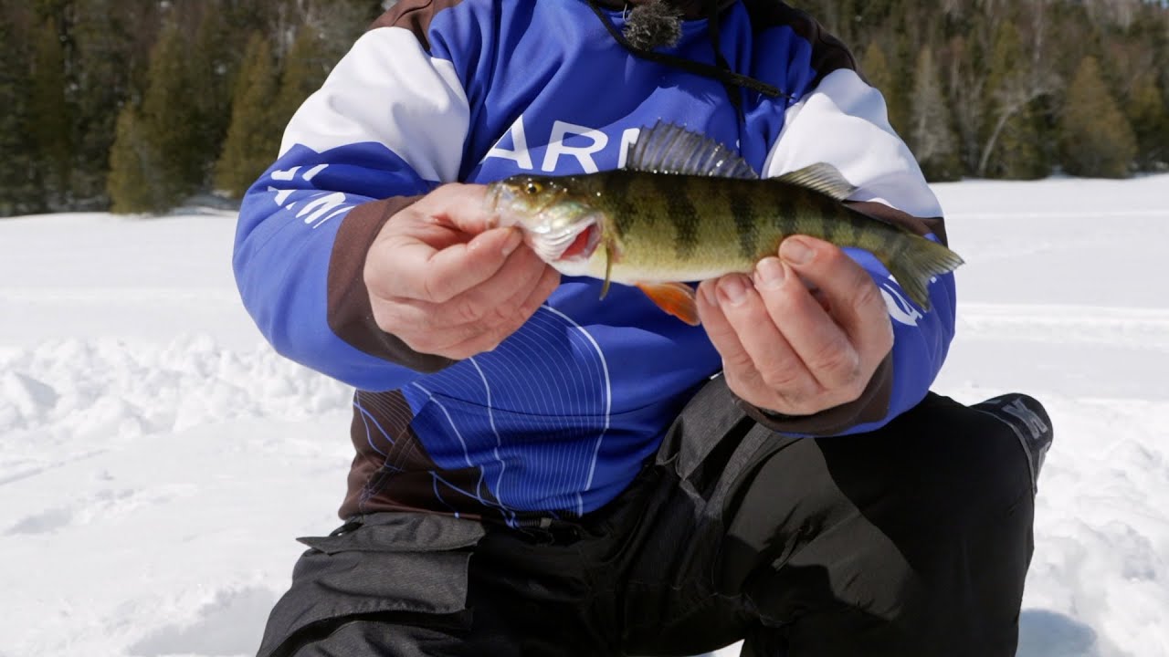 Capsules 101 - Top 5 conseils : Pèche à la perchaude sur glace