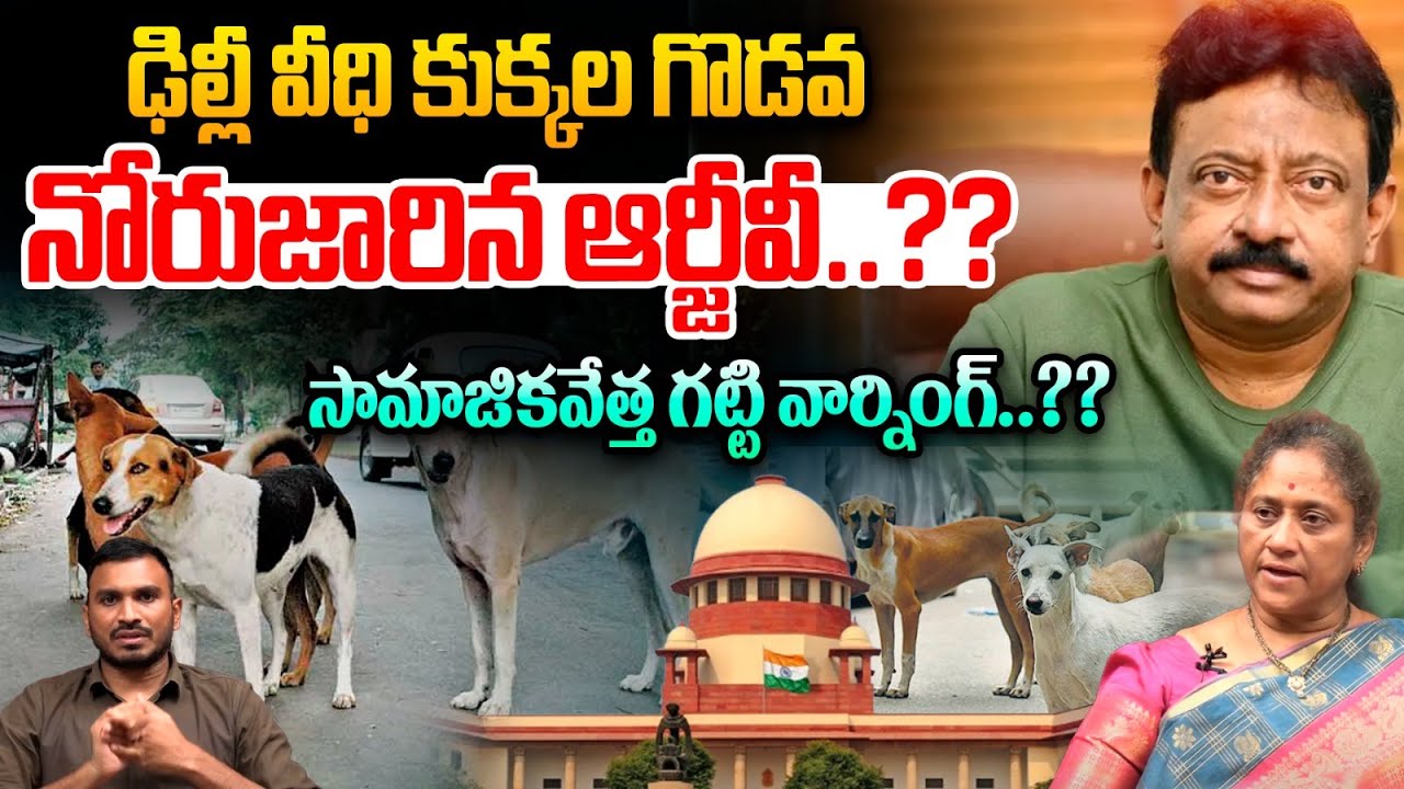 నోరుజారిన ఆర్జీవీ..| Delhi street dog News | Ram Gopal Varma | Krishna Kumari | Wild Wolf Vijayawada