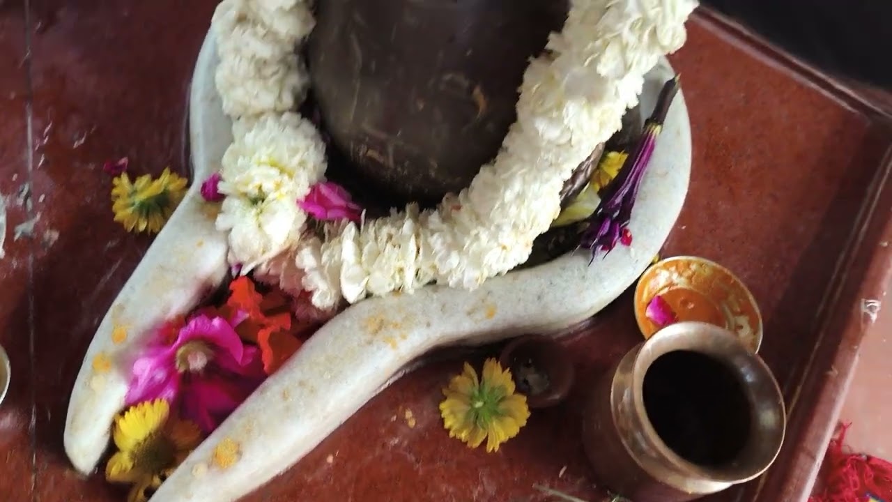 Kala dhatura podha fool fall narmdeswer mahadev mandir in video vlogs welcome YouTube channel vlogs 