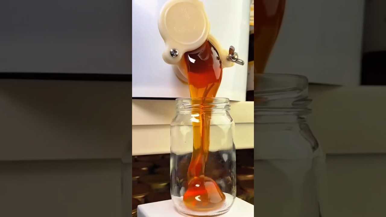 Honey bottling process from container