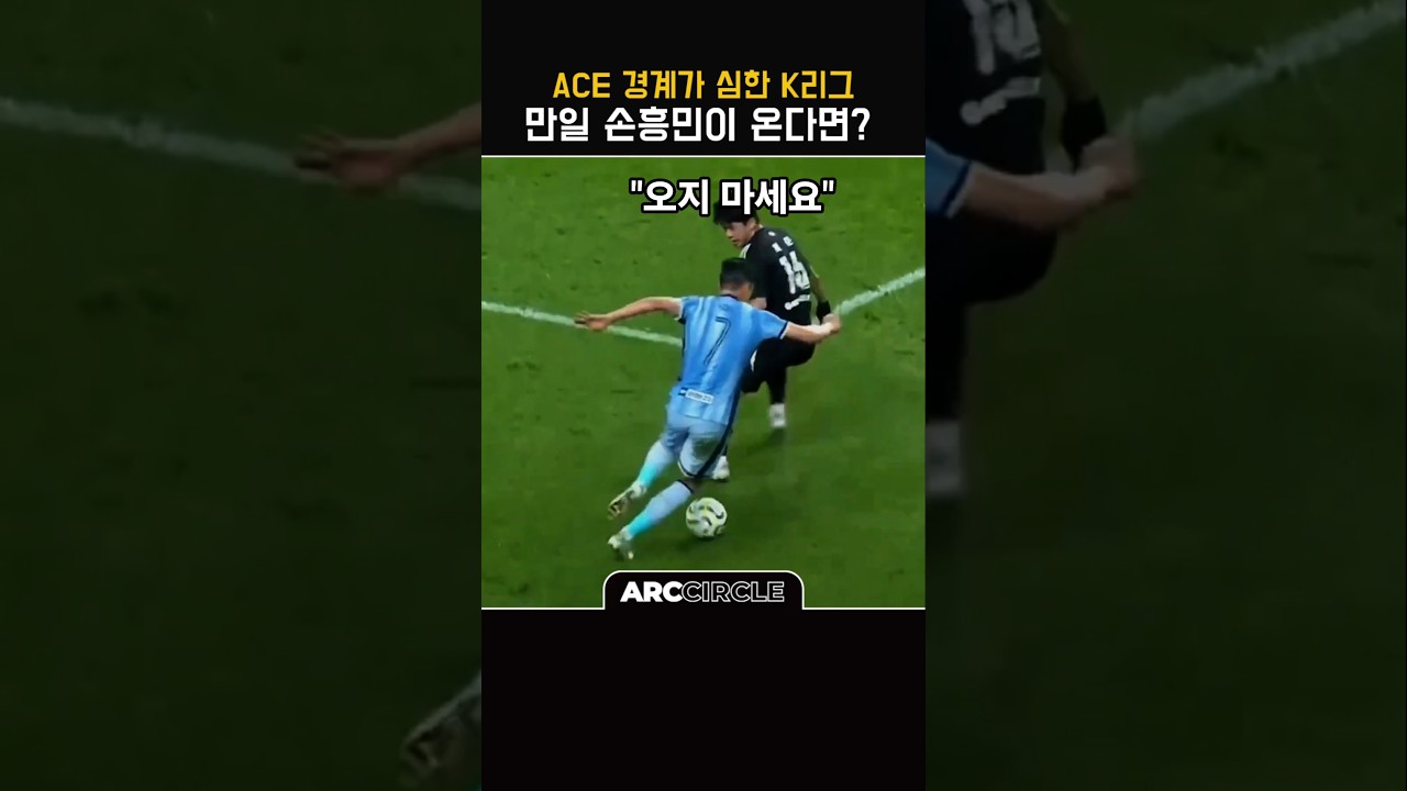 [손흥민 vs K리그] 이영표 