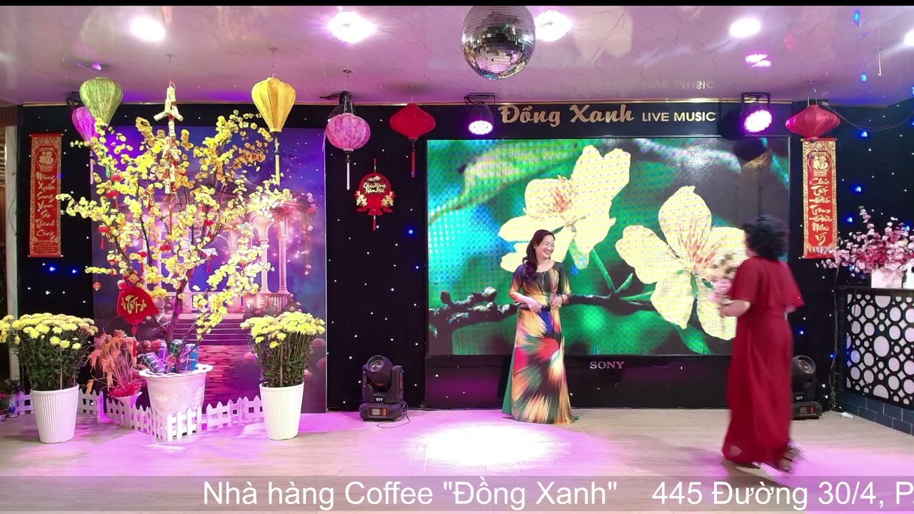 Giọt Buồn Không Tên - Hoàng Phượng 